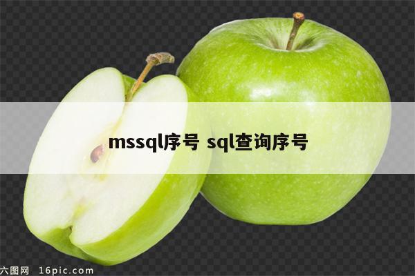 mssql序号 sql查询序号