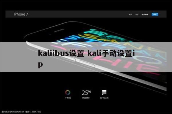 kaliibus设置 kali手动设置ip