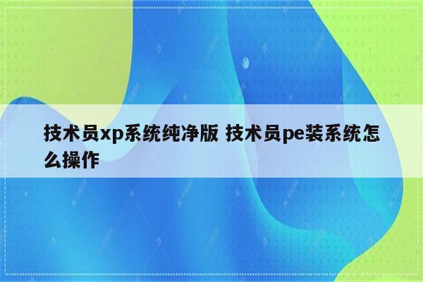 技术员xp系统纯净版 技术员pe装系统怎么操作