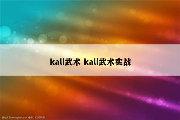 kali武术 kali武术实战