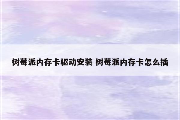 树莓派内存卡驱动安装 树莓派内存卡怎么插