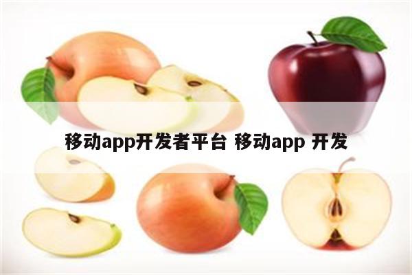 移动app开发者平台 移动app 开发