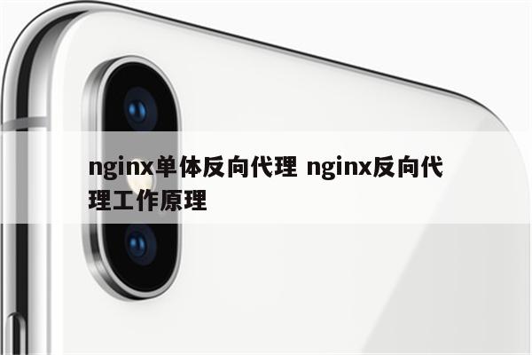 nginx单体反向代理 nginx反向代理工作原理