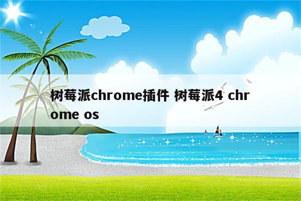 树莓派chrome插件 树莓派4 chrome os