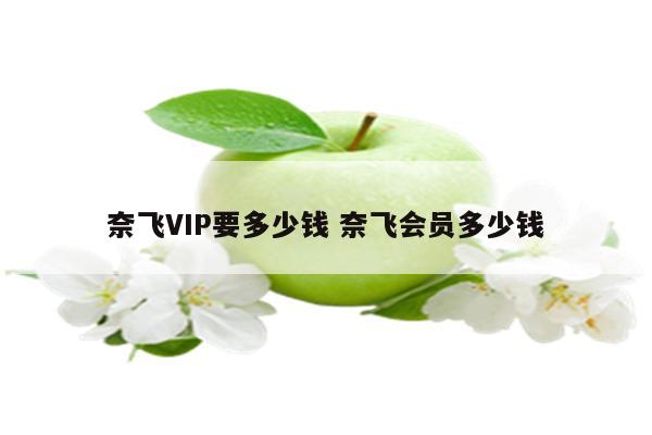 奈飞VIP要多少钱 奈飞会员多少钱