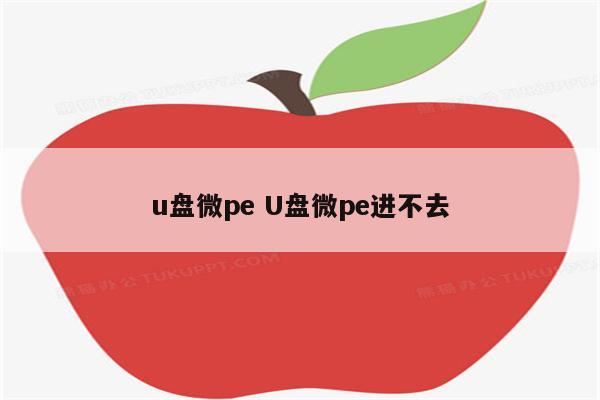 u盘微pe U盘微pe进不去