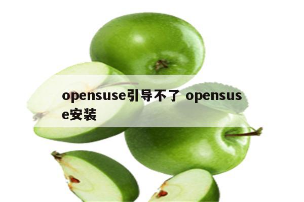 opensuse引导不了 opensuse安装