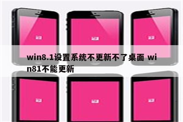 win8.1设置系统不更新不了桌面 win81不能更新