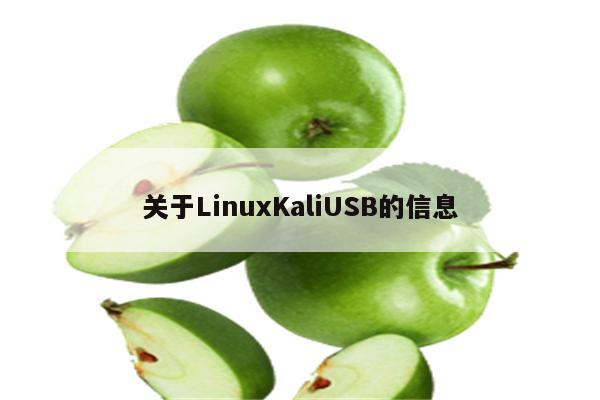 关于LinuxKaliUSB的信息