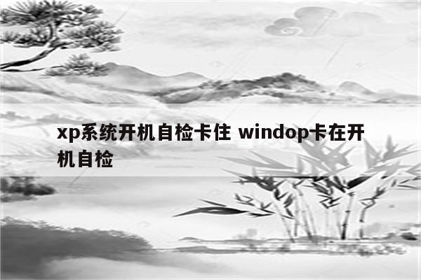 xp系统开机自检卡住 windop卡在开机自检