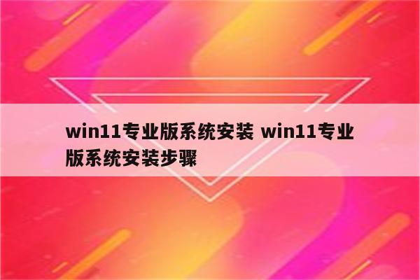 win11专业版系统安装 win11专业版系统安装步骤