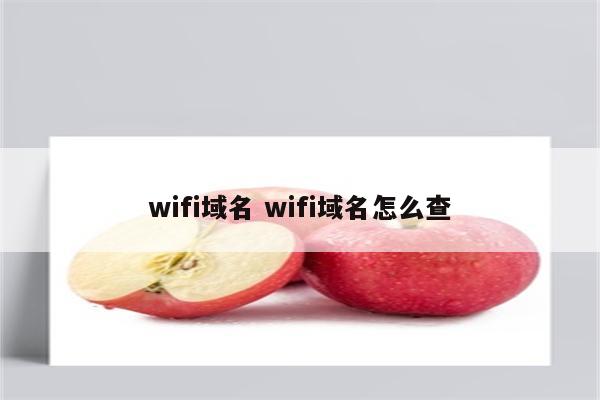 wifi域名 wifi域名怎么查