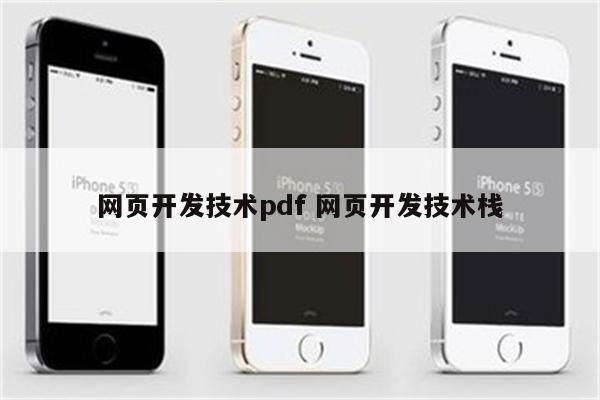 网页开发技术pdf 网页开发技术栈