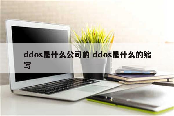 ddos是什么公司的 ddos是什么的缩写