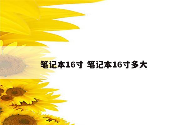 笔记本16寸 笔记本16寸多大