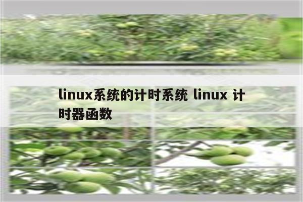 linux系统的计时系统 linux 计时器函数