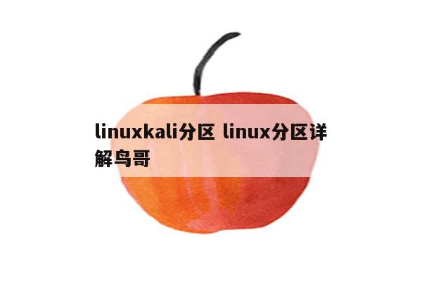 linuxkali分区 linux分区详解鸟哥