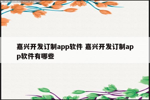 嘉兴开发订制app软件 嘉兴开发订制app软件有哪些