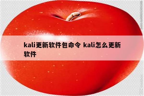 kali更新软件包命令 kali怎么更新软件