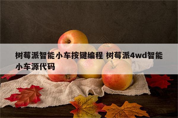 树莓派智能小车按键编程 树莓派4wd智能小车源代码