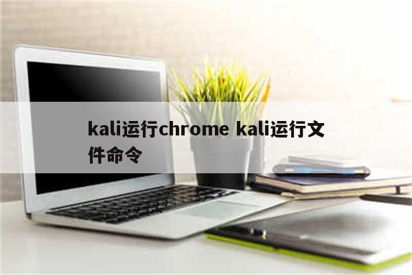 kali运行chrome kali运行文件命令