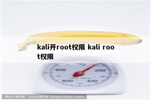 kali开root权限 kali root权限