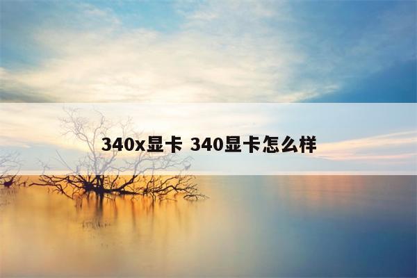 340x显卡 340显卡怎么样