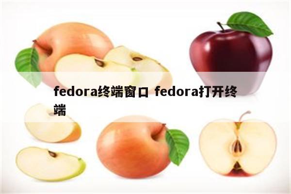 fedora终端窗口 fedora打开终端