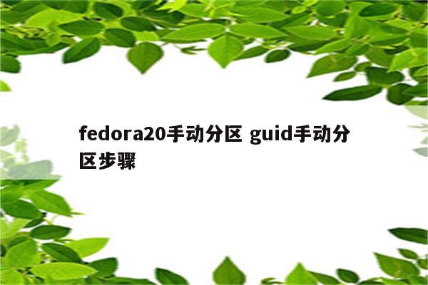 fedora20手动分区 guid手动分区步骤