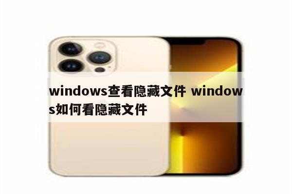 windows查看隐藏文件 windows如何看隐藏文件