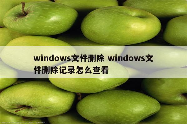 windows文件删除 windows文件删除记录怎么查看