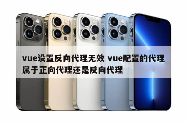 vue设置反向代理无效 vue配置的代理属于正向代理还是反向代理