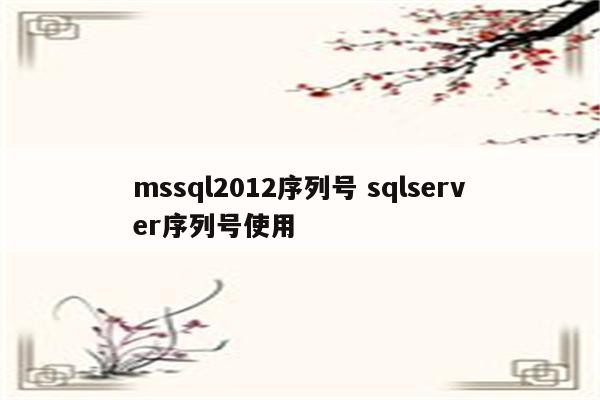 mssql2012序列号 sqlserver序列号使用