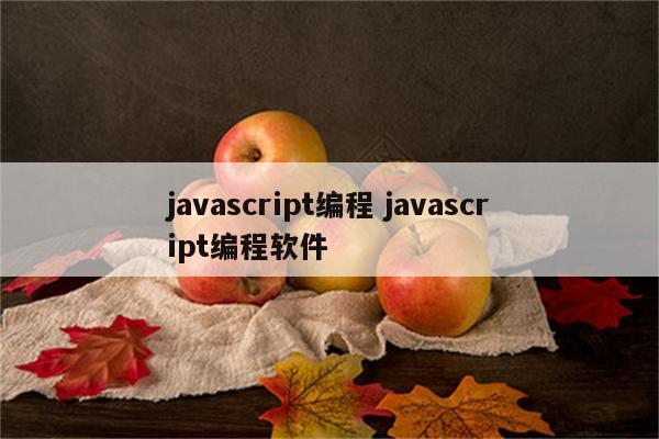 javascript编程 javascript编程软件