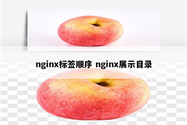 nginx标签顺序 nginx展示目录