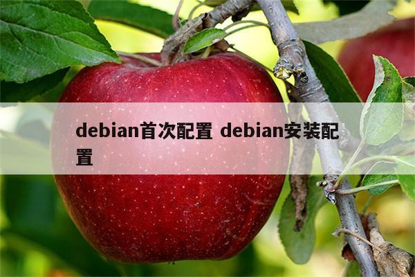 debian首次配置 debian安装配置