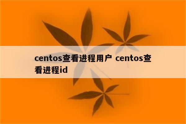 centos查看进程用户 centos查看进程id