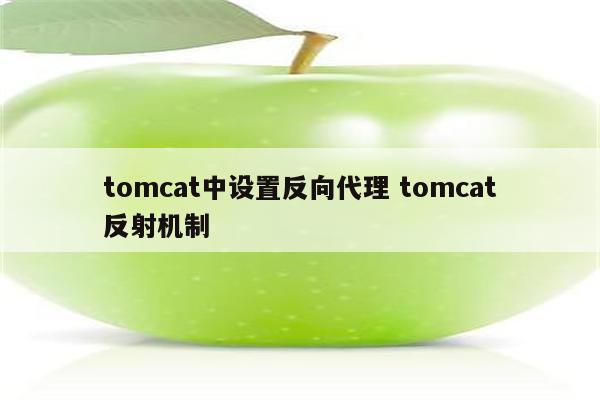 tomcat中设置反向代理 tomcat反射机制