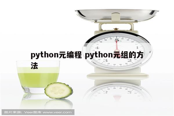 python元编程 python元组的方法