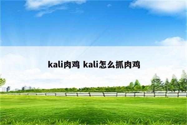 kali肉鸡 kali怎么抓肉鸡