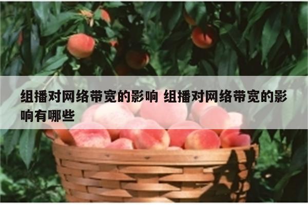 组播对网络带宽的影响 组播对网络带宽的影响有哪些