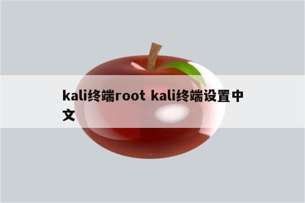 kali终端root kali终端设置中文