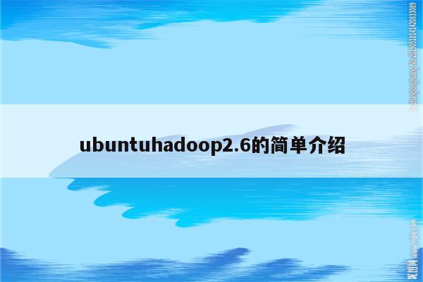 ubuntuhadoop2.6的简单介绍