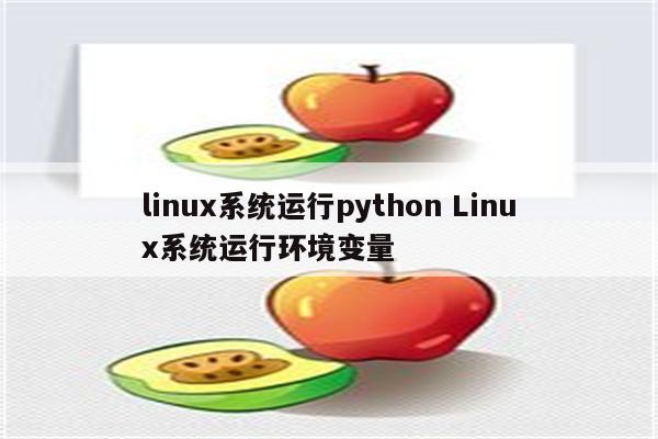 linux系统运行python Linux系统运行环境变量