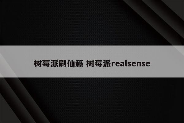 树莓派刷仙籁 树莓派realsense