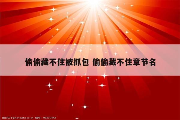 偷偷藏不住被抓包 偷偷藏不住章节名
