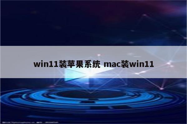 win11装苹果系统 mac装win11