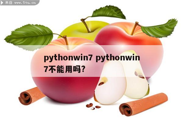 pythonwin7 pythonwin7不能用吗?