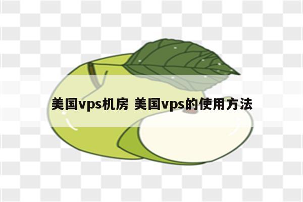 美国vps机房 美国vps的使用方法