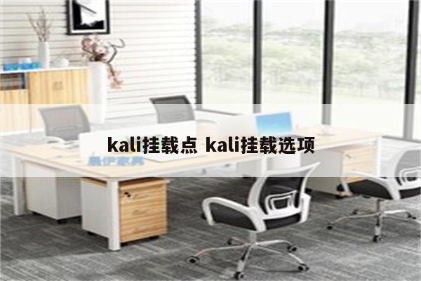 kali挂载点 kali挂载选项